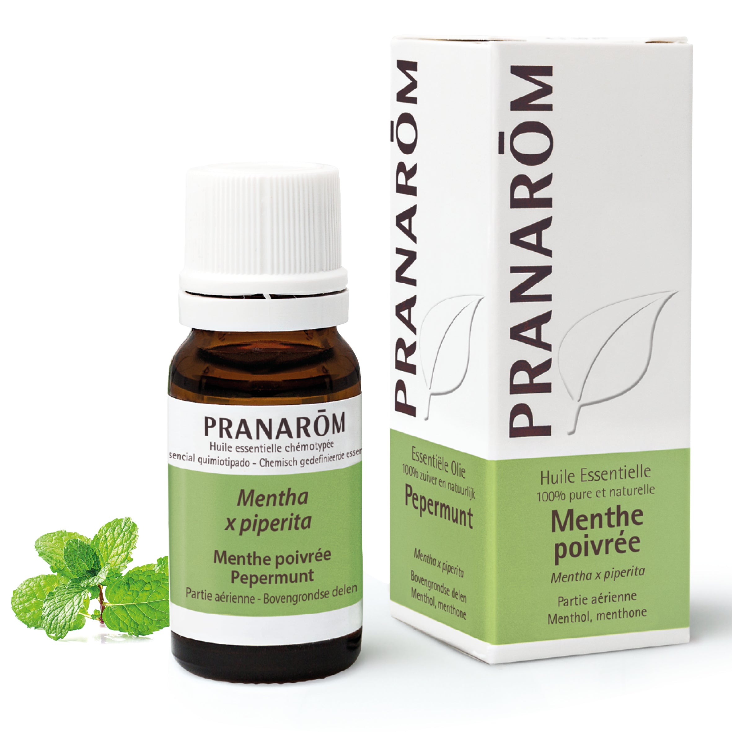 Pranarôm Huile essentielle de Menthe poivrée 10 ml