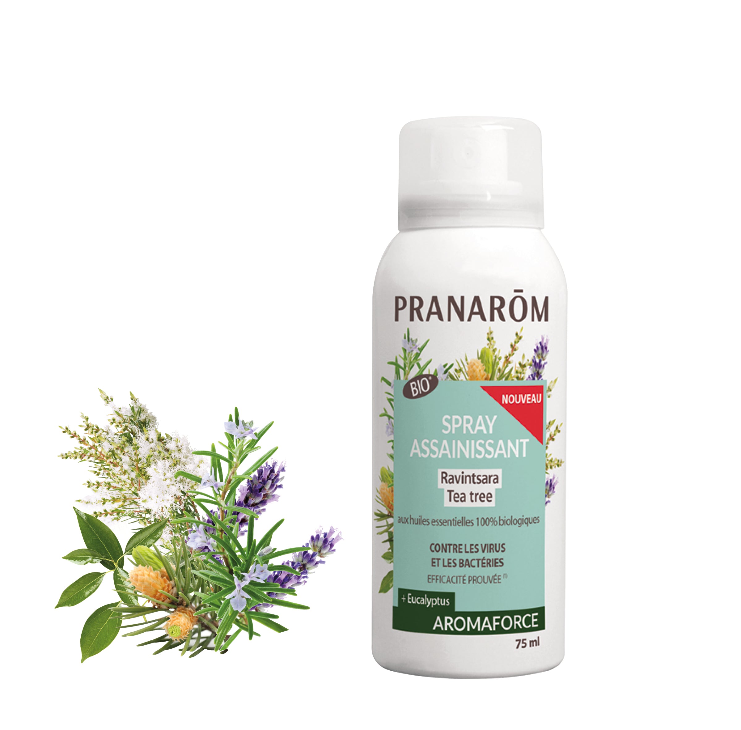 Pranarôm Spray assainissant Ravintsara - Tea tree BIO 75 ml