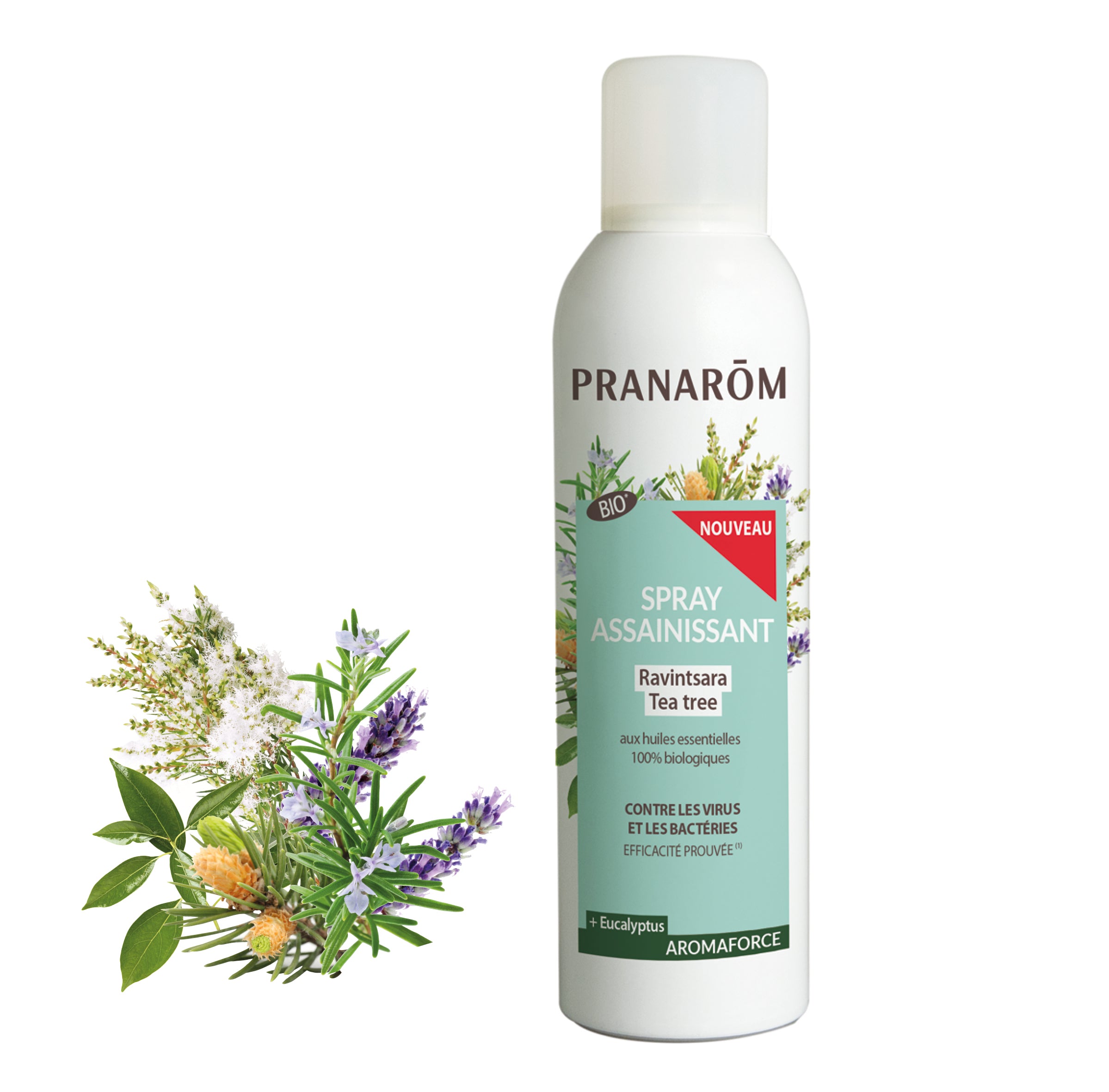 Pranarôm Spray assainissant Ravintsara - Tea-tree BIO 150 ml