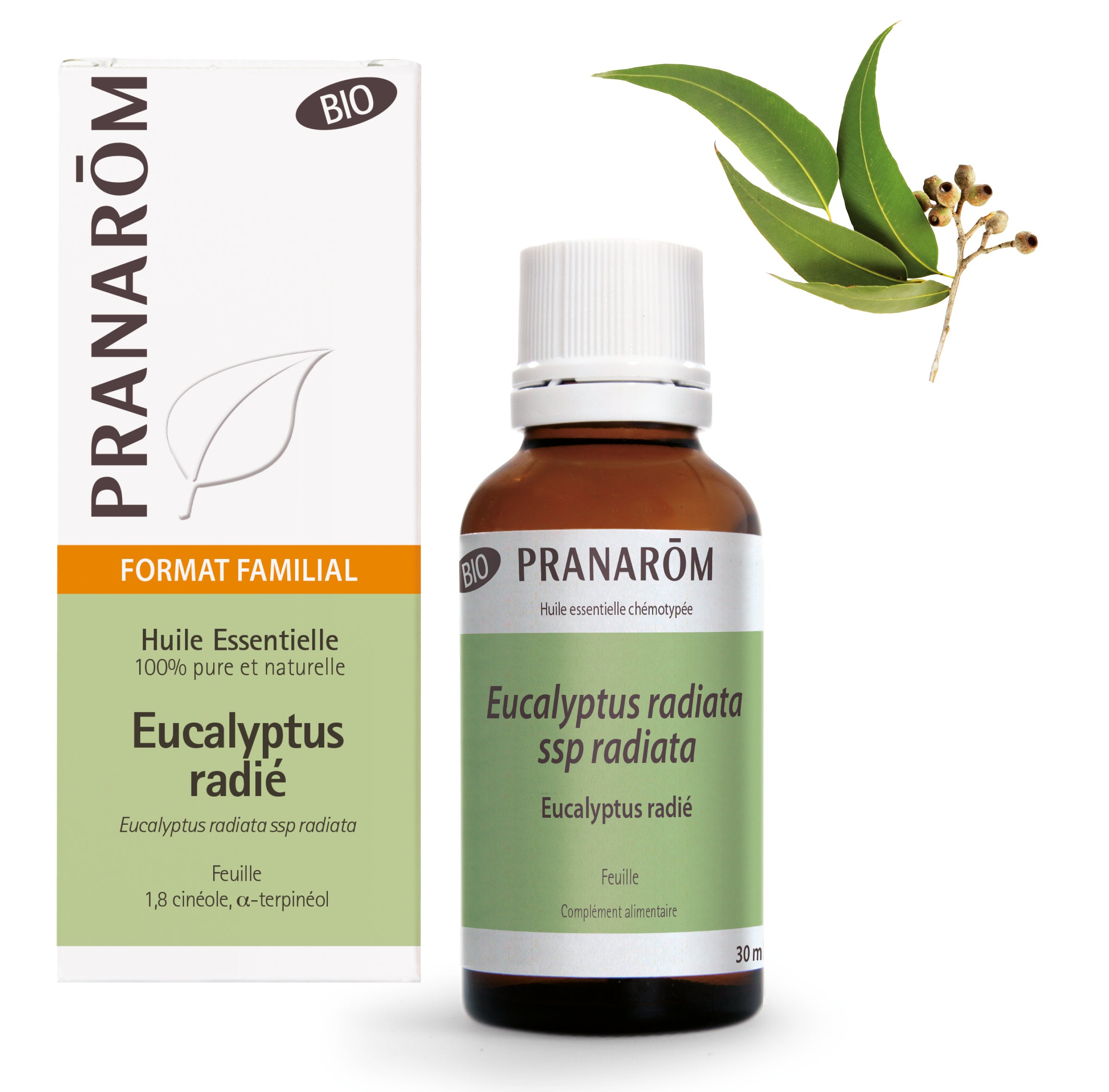 Pranarôm Huile essentielle d'Eucalyptus radié BIO 30 ml
