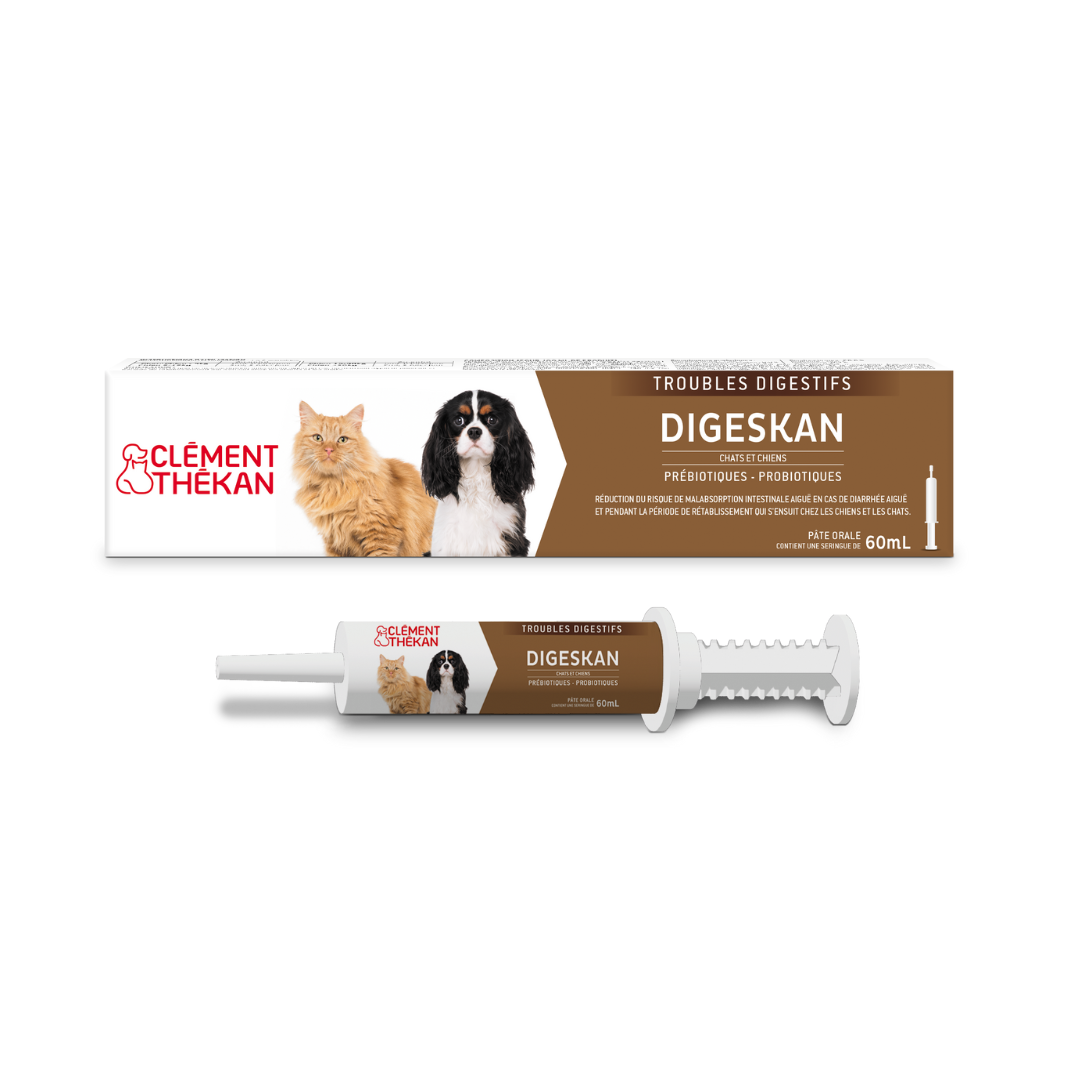 Clément Thékan Digeskan Pâte orale diarrhée Chien et chat 60 mL