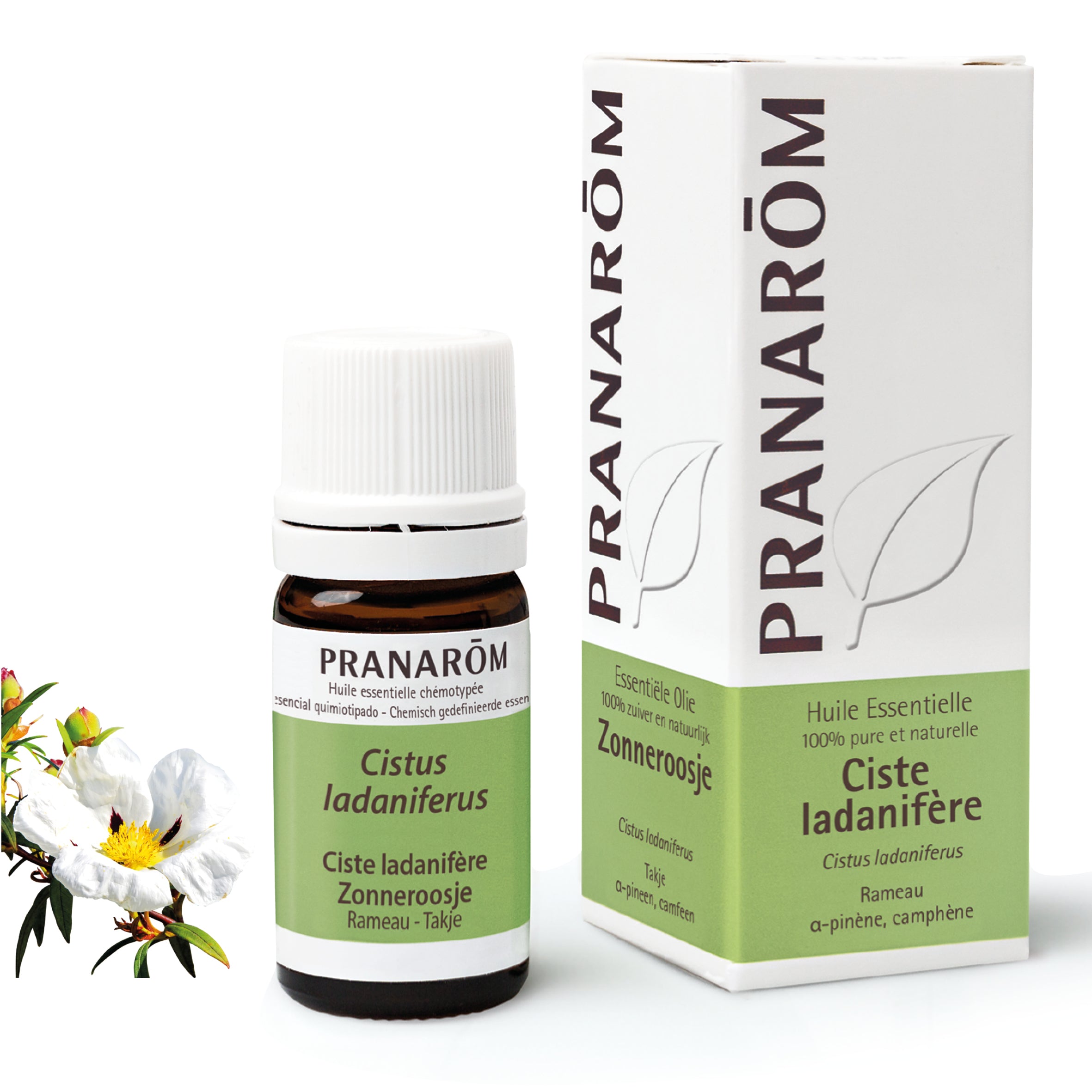 Pranarôm Huile essentielle de Ciste ladanifère 5 ml