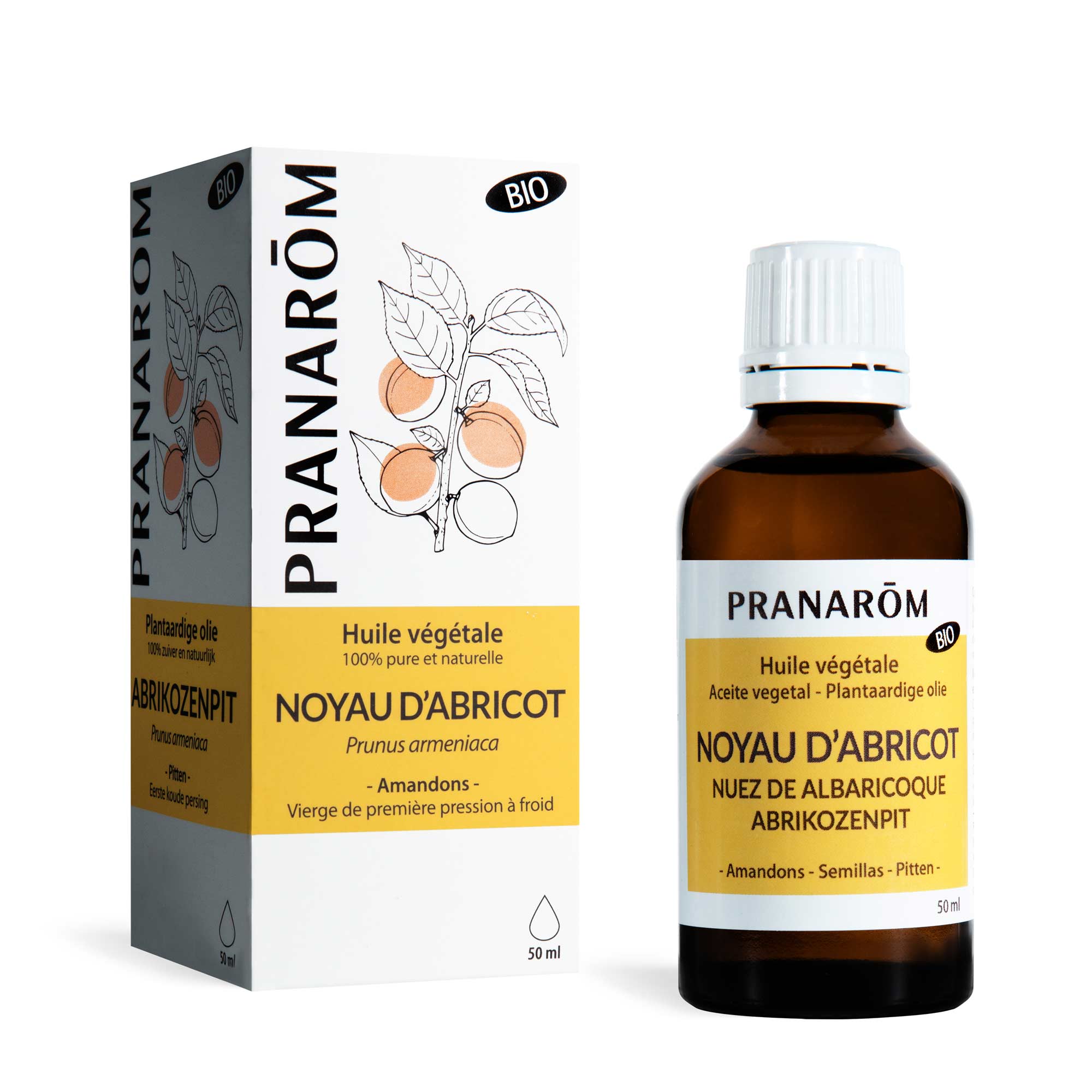 Pranarôm Huile végétale de Noyau d’abricot BIO 50 ml