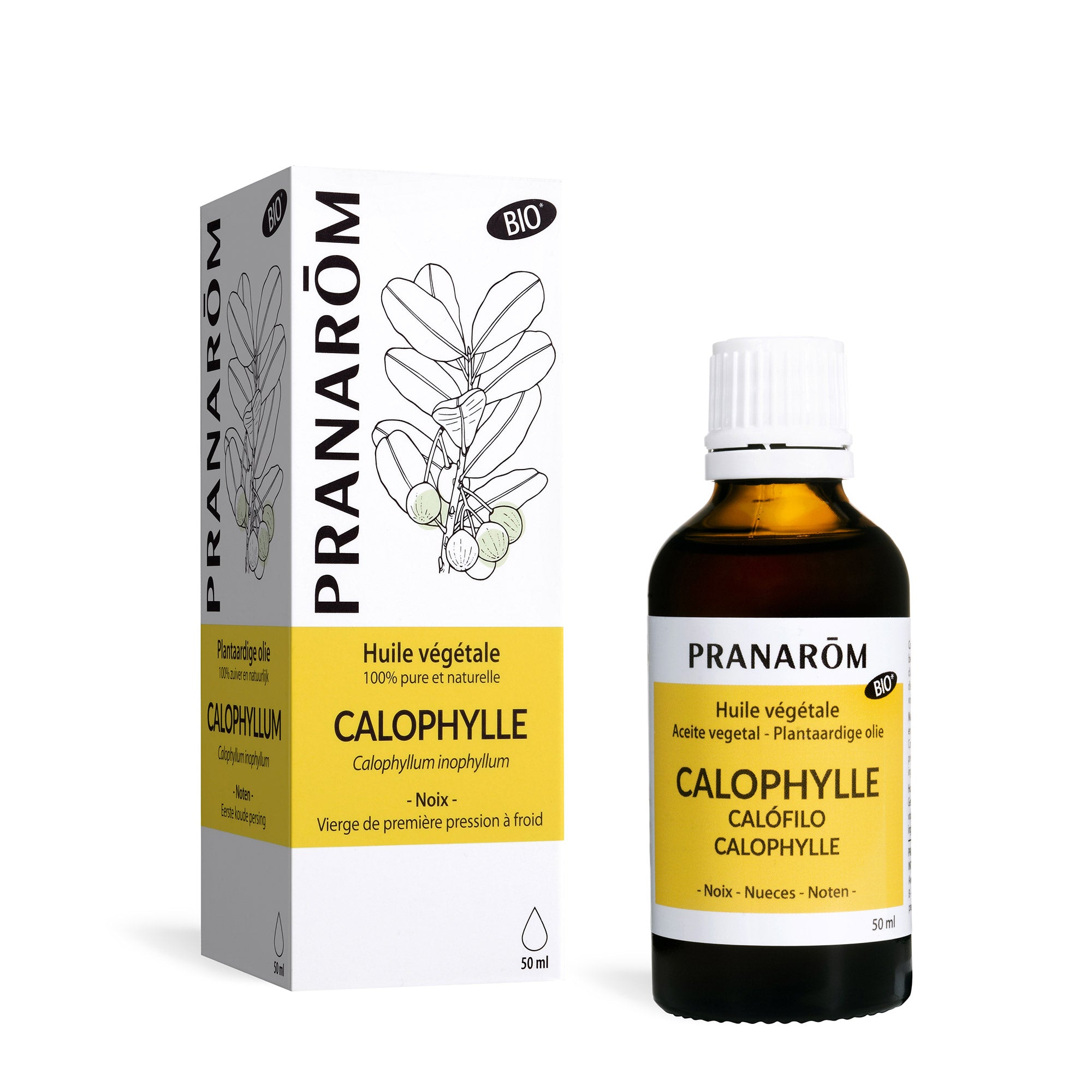 Pranarôm Huile végétale de Calophylle BIO 50 ml