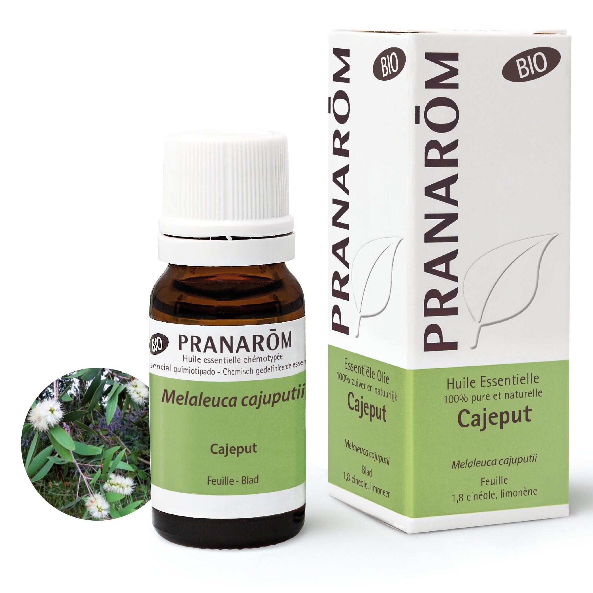 Pranarôm Huile essentielle de Cajeput BIO 10 ml