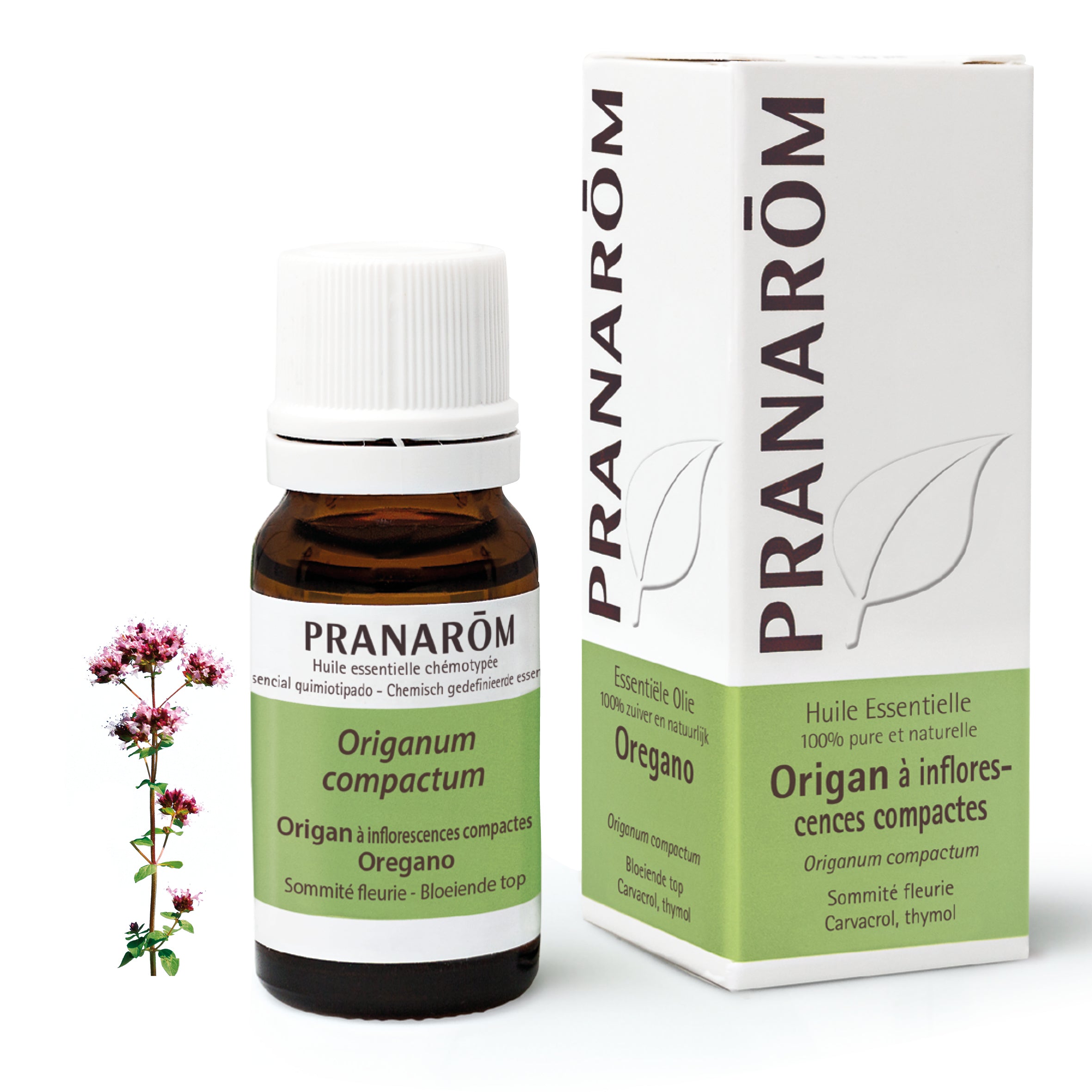 Pranarôm Huile essentielle d'Origan à inflorescences compactes 10 ml