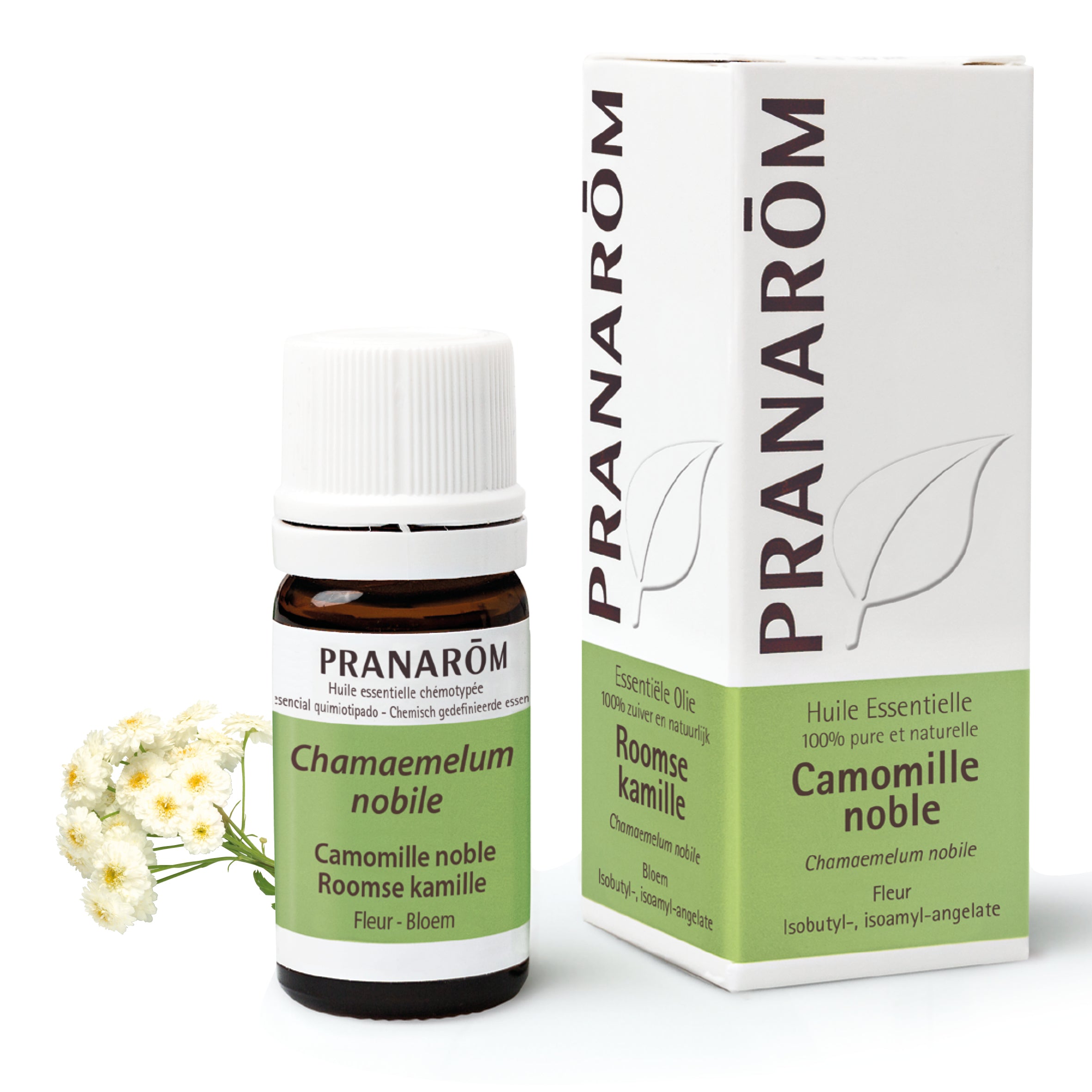 Pranarôm Huile essentielle de Camomille noble 5 ml